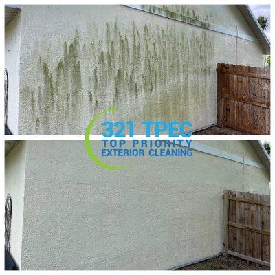 Soft washing home to remove mold and organic growth. Non pressure washing safely cleans without damaging surface