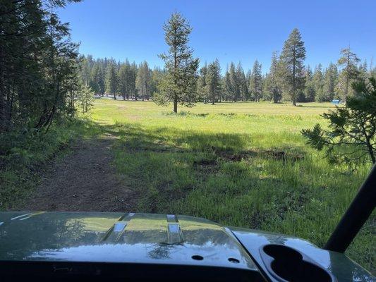 Their meadow is my happy place!