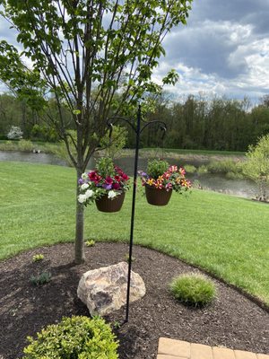 2 hanging baskets $25 total.  Beautiful.