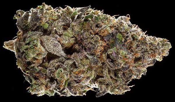 "Fifth Element" strain of cannabis -- available at Classen Kush House in Oklahoma City