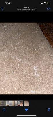 Paint on carpet left by maintenance