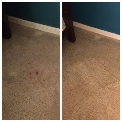 Sunshine Carpet & Rug Cleaning