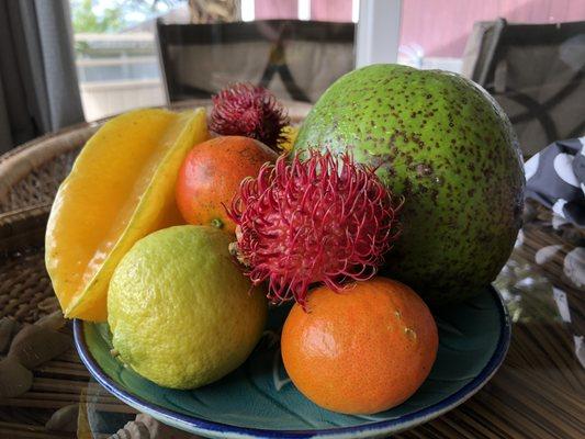 Welcome fruits bowl