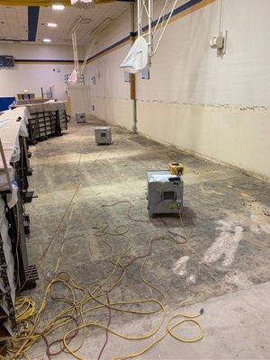 Commercial Mold Remediation