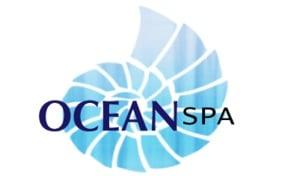 At OCEAN SPA, "Discover Timeless Beauty, Wellness, and Rejuvenation.