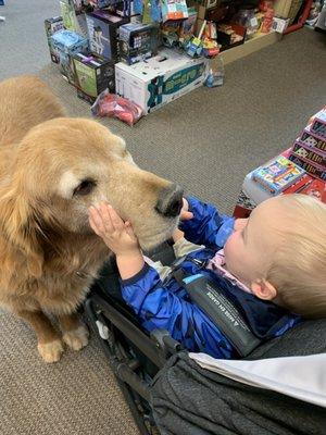 Shop doggo, Luke, loves babies!