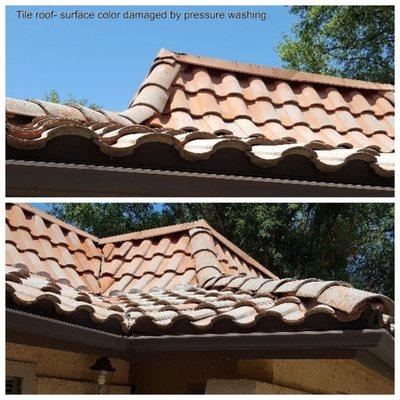 Never pressure wash roofs! This roof was damaged by pressure washing. Surface color has been stripped.