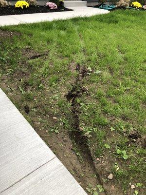 Ruined new lawn. Very unprofessional as I have a driveway that's almost 30 ft wide