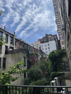 Serene backyard view at Manhattan Dental Care. Windows in almost every operatory!