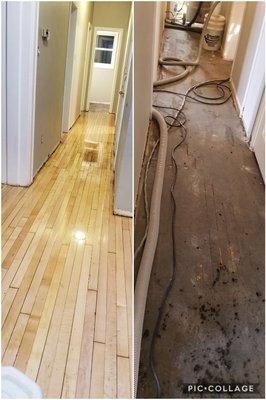 Brought the life back to these 100 year old maple floors! Went with the traditional natural with a low voc water based finish.