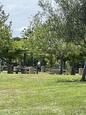 Circle of tables covered by wisteria pergola