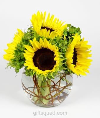 Summer Sunflowers gathered in a bubble bowl accented w greens and willow tips make this an arrangement sure to brighten anyone's day. 40.00