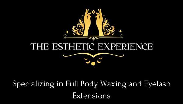 The Esthetic Experience