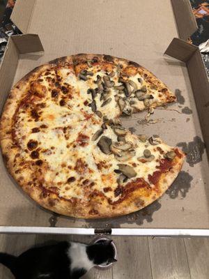 Mushroom cheese pizza