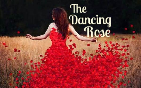 The Dancing Rose of Virginia Beach is a lively Social, Latin, and Ballroom dance studio that teaches youth to adults how to p...