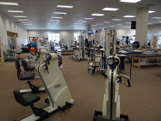 Upper Body Exercise Bikes