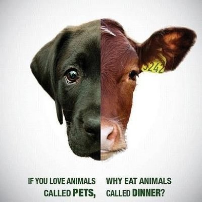 Choose compassion