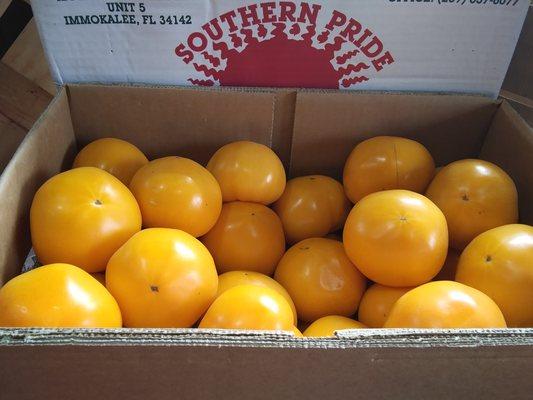 Yellow tomatoes - year 'round as available