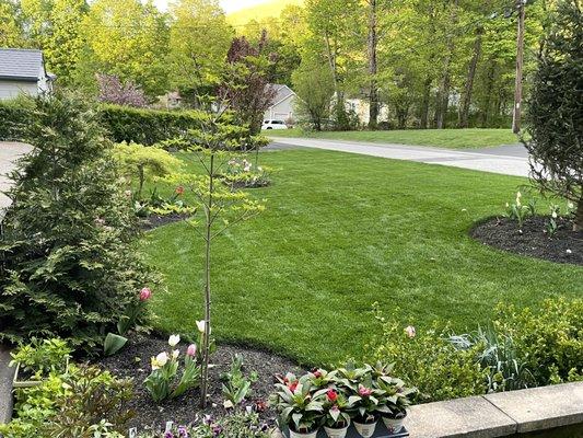 GLZ Landscaping