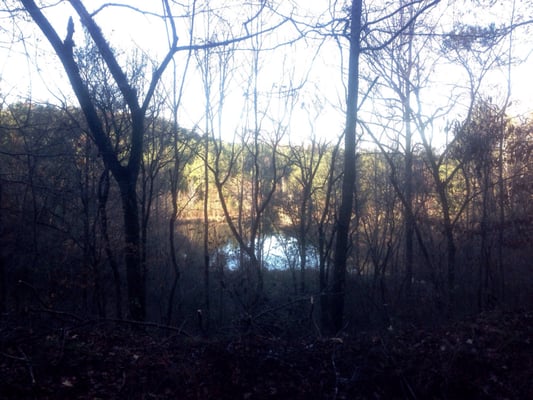 Near the 3 mile mark, one stream of Black Creek ends in a beautiful body of water seen from the trail.