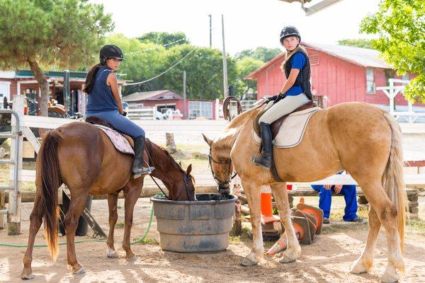 Turkey Creek Stables