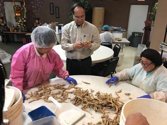 Owner Dr. Sam Liang owns a ginseng farm in Wisconsin. He and his workers was selecting the best ginseng for customers seriously.