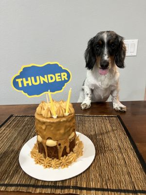 Lovey baked cake our pup loved