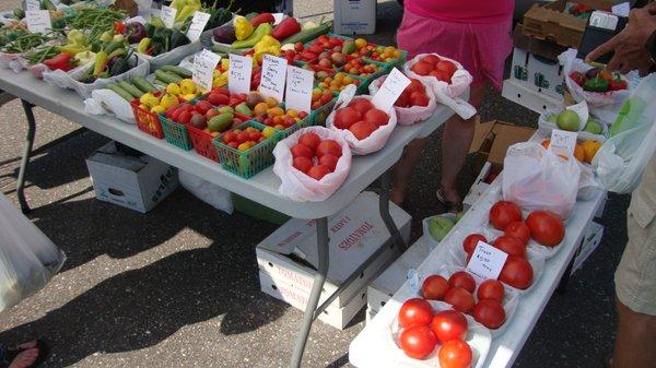 A nice variety of colorful tomatoes!