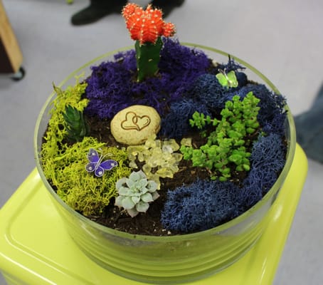 a finished terrarium from a terrarium class