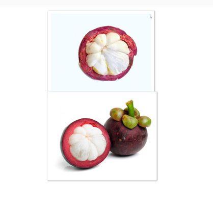 Mangosteen