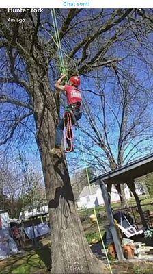 Expert climbers! He can spike and do srt climbing! Did I mention they're ensured??