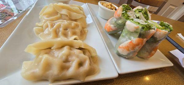 Shrimp/Pork Summer Rolls and Dumplings