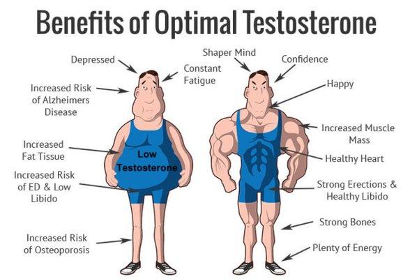 Benefits of optimal testosterone