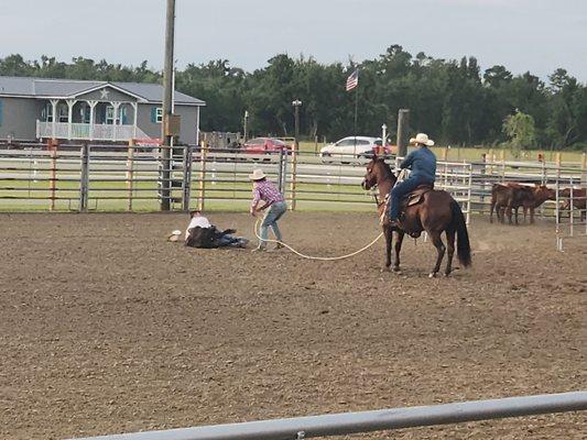 Cattle roping