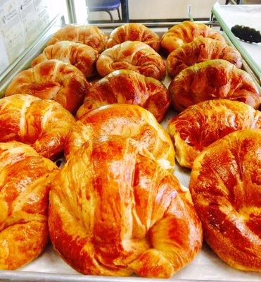 Fresh Croissants every morning!!! Flaky and delicious!!!