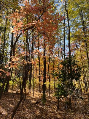 Heroes Circle Nature Trail