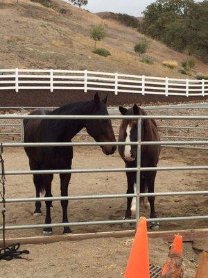 Outdoor roundpen