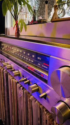 Technics SA-301