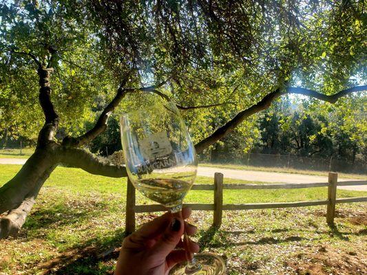 Best cider in El Dorado County