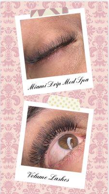 Volume Lashes