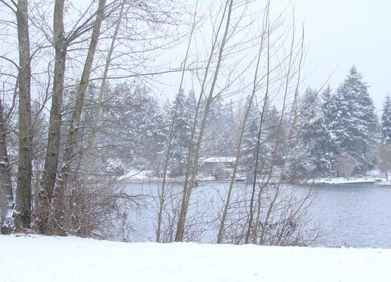 Overlooking the lake on a snowy day