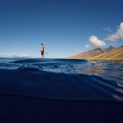 One of the best views of maui is from a SUP, rent one of our SUPs today so you can get out there and enjoy sites.