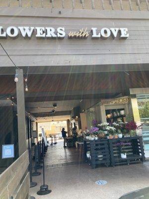 Shop in Brentwood.
 If you look closely you can see a planter with orchids like mine.