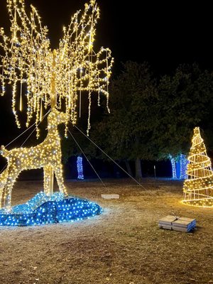 Annual Holiday Lights display; December 2022