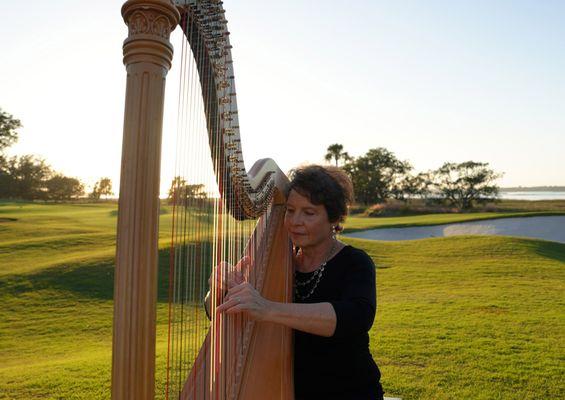 Concert Harp