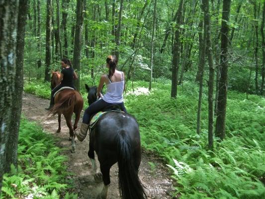 Summer trail ride