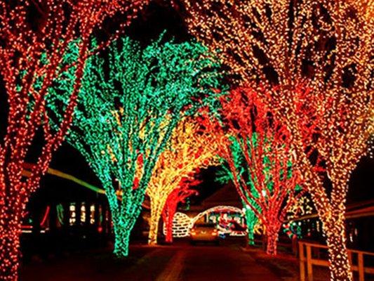 Holiday Lights on the Lake at Lakemont Park, Altoona
 Photo by Explroe Altoona