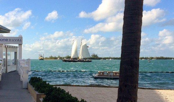 Watching sailing ships