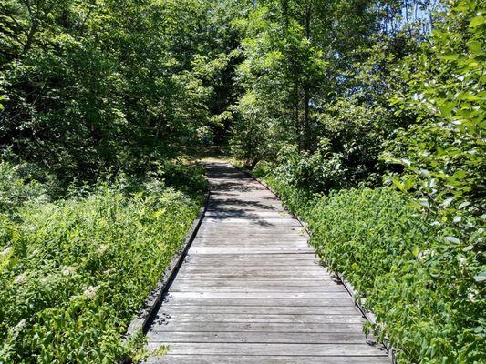 Walking bridge to a secluded picnic and swimming area