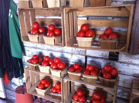 Tomatoes $4 a basket! They actually taste like tomatoes unlike the big supermarkets.